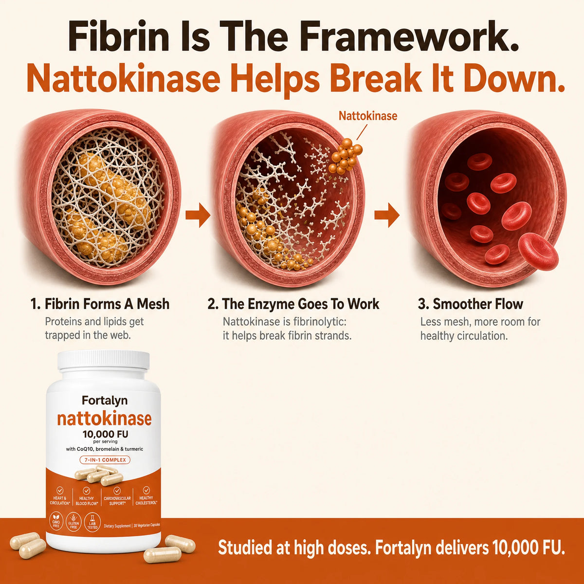 Max Potency Nattokinase 10,000 FU — Circulation Support